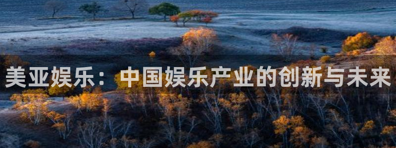 长运平台的平台：美亚娱乐：中国娱乐产业的创新与未来