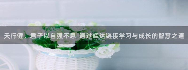 长运平台加拿大下载：天行健，君子以自强不息-通过辉达链接学习与成长的智慧之道