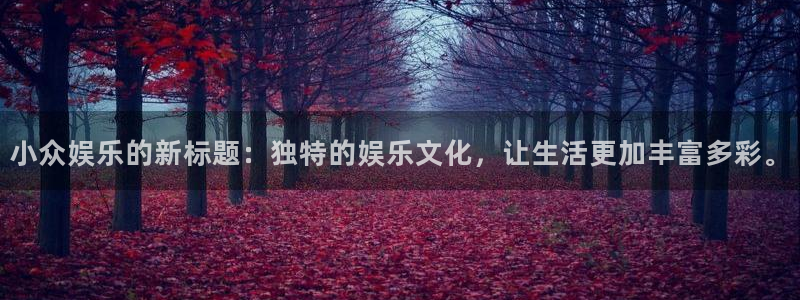 壹号平台娱乐：小众娱乐的新标题：独特的娱乐文化，让生活更加丰富多彩。