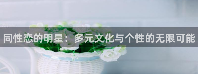 长运平台苹果手机下载链接：同性恋的明星：多元文化与个性的无限可能