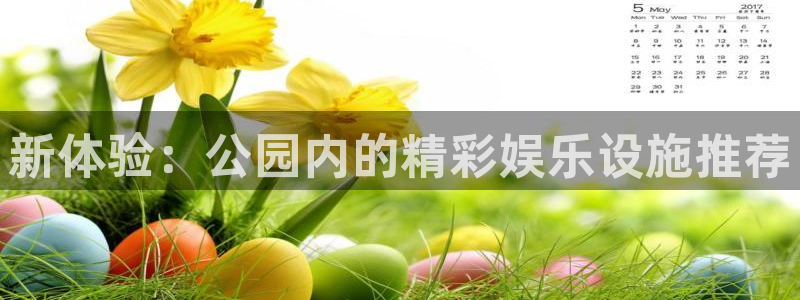 长运平台软件：新体验：公园内的精彩娱乐设施推荐
