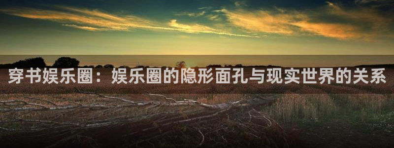 长运平台加拿大：穿书娱乐圈：娱乐圈的隐形面孔与现实世界的关系