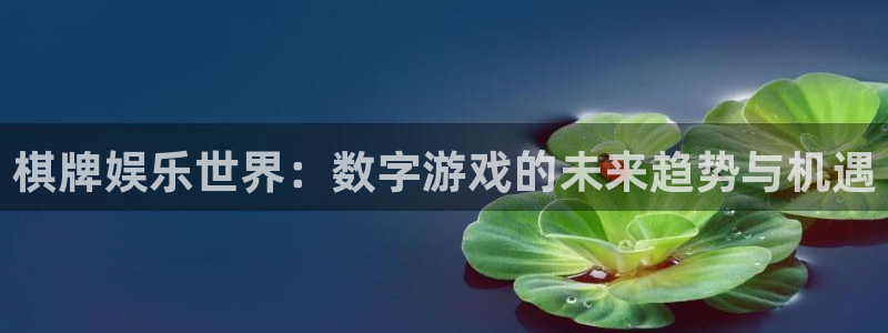 长运平台注册链接入口：棋牌娱乐世界：数字游戏的未来趋势与机遇