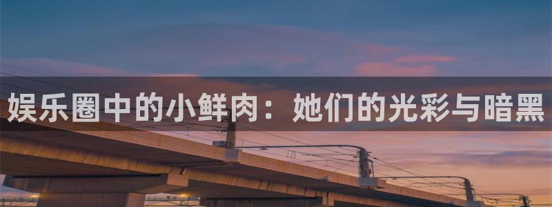 长运平台的平台：娱乐圈中的小鲜肉：她们的光彩与暗黑