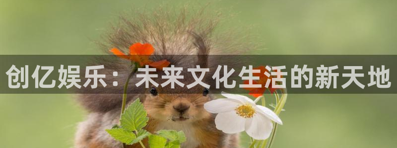 长运平台退款怎么退：创亿娱乐：未来文化生活的新天地