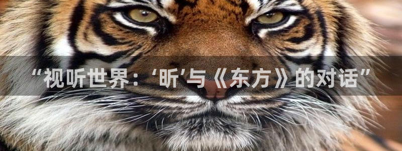 长运平台链接：“视听世界：‘昕’与《东方》的对话”