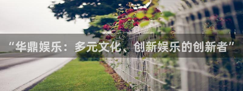 长运平台app下载：“华鼎娱乐：多元文化、创新娱乐的创新者”