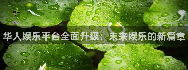壹号玩家app下载：华人娱乐平台全面升级：未来娱乐的新篇章