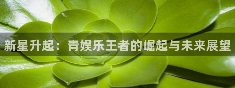 长运平台手机版下载：新星升起：青娱乐王者的崛起与未来展望